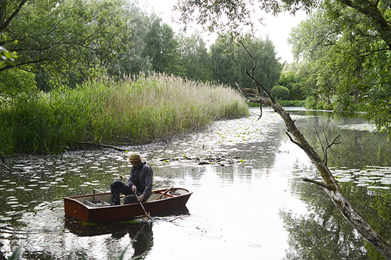 Zander-Fuchs am See